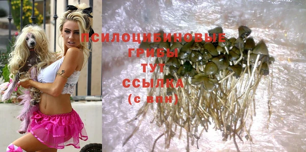мескалин Бугульма