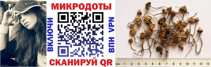 Галлюциногенные грибы Psilocybe  ссылка на мегу вход  Орехово-Зуево 